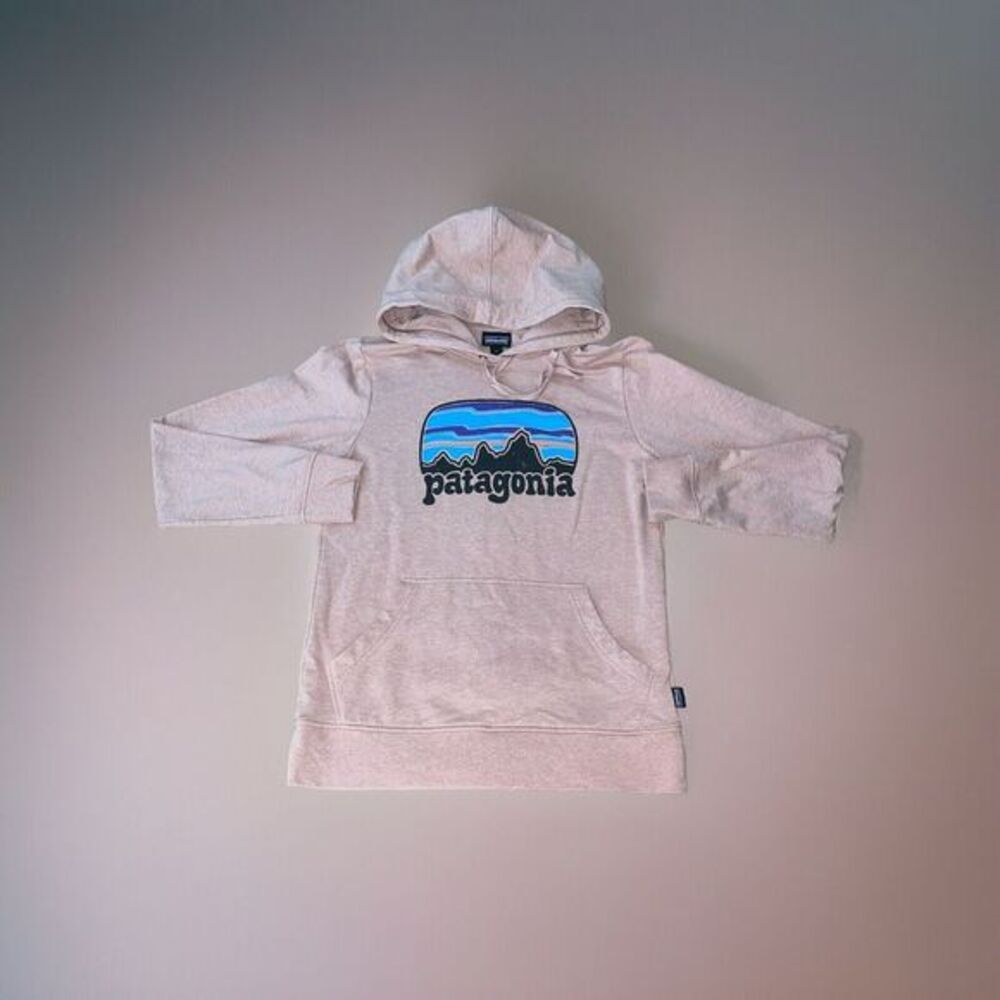 Patagonia Sweater Adult Small Salmon Fleece Uprisal Hoodie Hooded Sweatshirt Gym